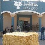 Gaza zoo